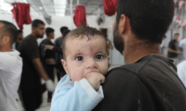 UN warns 14,000 babies could die in Gaza in next 48 hours without aid